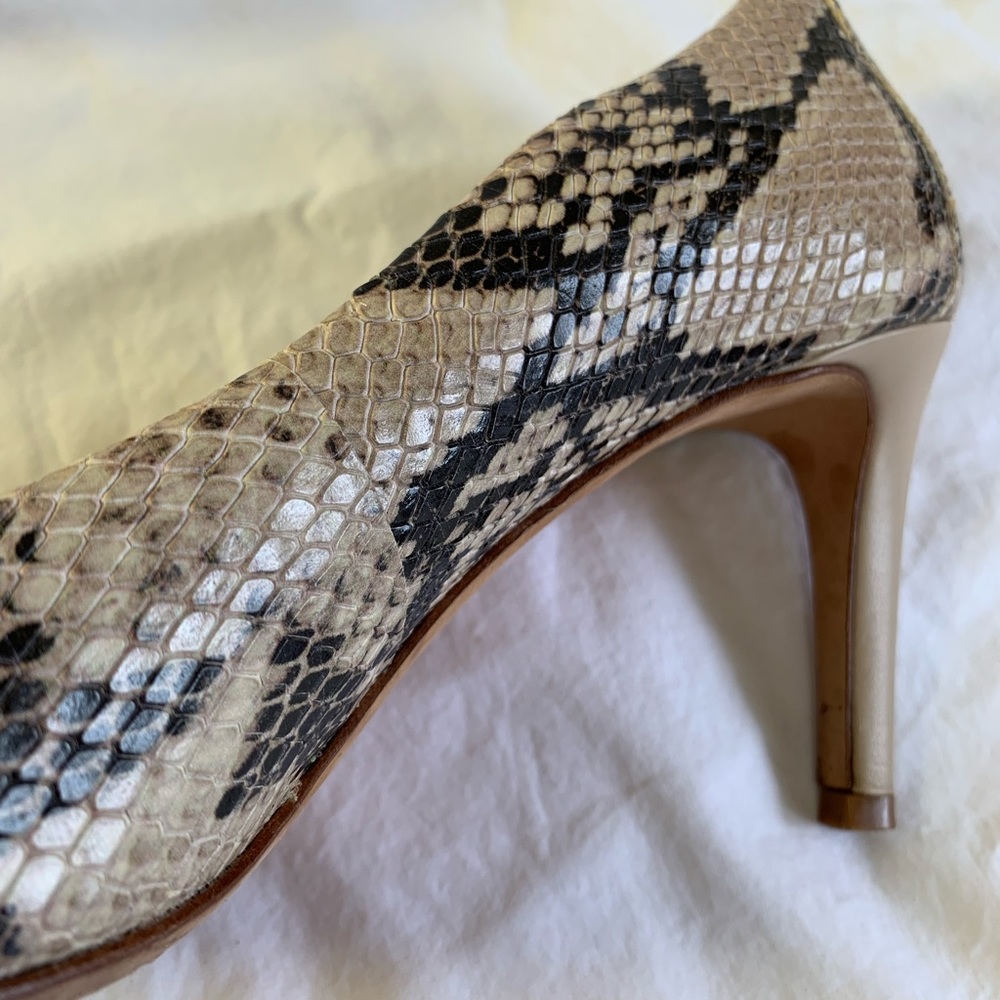 Antonio Melani Paton Snake Reptile Python Print L… - image 4